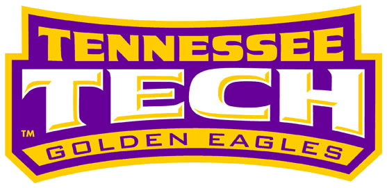 Tennessee Tech Golden Eagles 2006-Pres Wordmark Logo diy iron on heat transfer